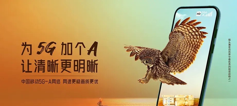 涡阳县涡阳县城东街道 移动宽带