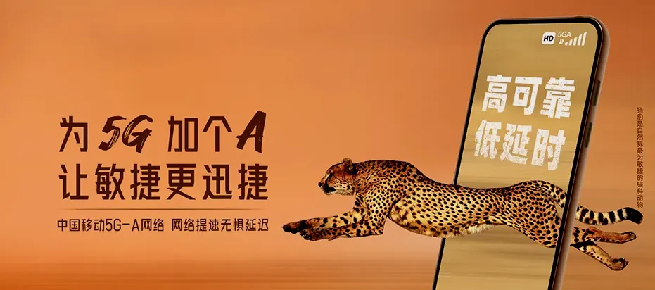 涡阳县涡阳县高公镇 移动宽带